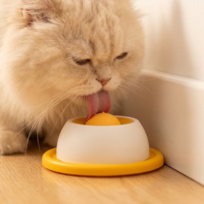 Gamelle anti glouton Chat avec base, utilisée par un chat au pelage clair