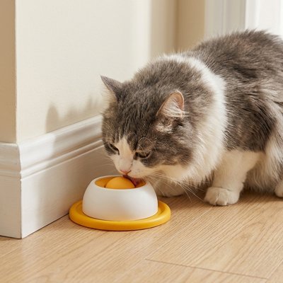 Gamelle anti glouton Chat avec boule de léchage et base orange, utilisée par un chat gris et blanc