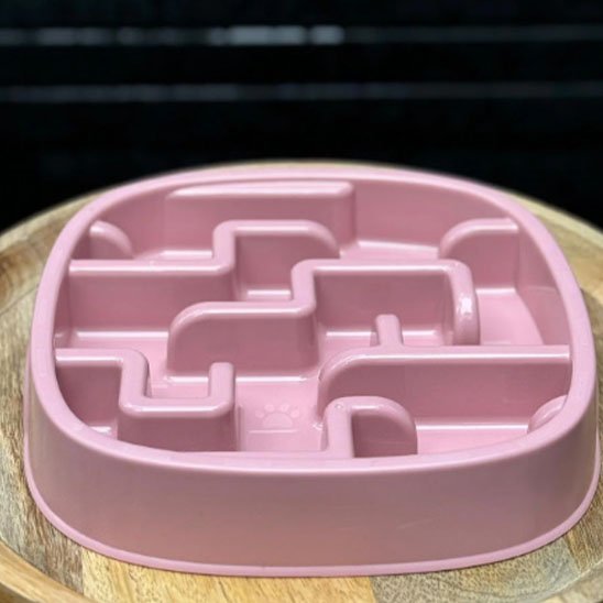 Gamelle anti glouton chat  avec labyrinthe ralentisseur d'alimentation en plastique alimentaire