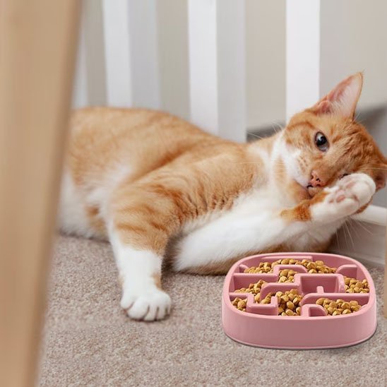 Gamelle anti glouton chat interactive ralentisseur pour croquettes et pâtée avec système labyrinthe