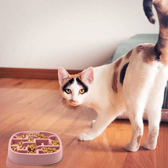 Gamelle anti glouton chat obstacles intégrés pour digestion saine