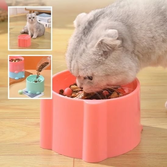 Gamelle anti glouton chat surélevée 8,5 cm hauteur avec relief poisson anti-gloutonnerie