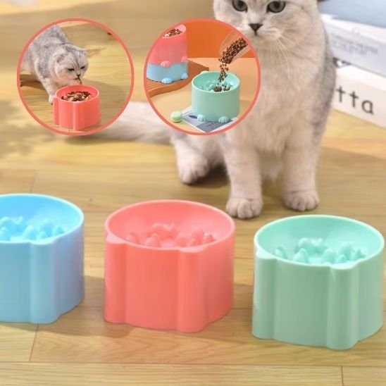 Gamelle anti glouton chat surélevée colorée avec texture poisson et base antidérapante