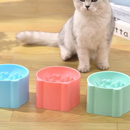 Gamelle anti glouton chat surélevée verte à pieds antidérapants et bords arrondis