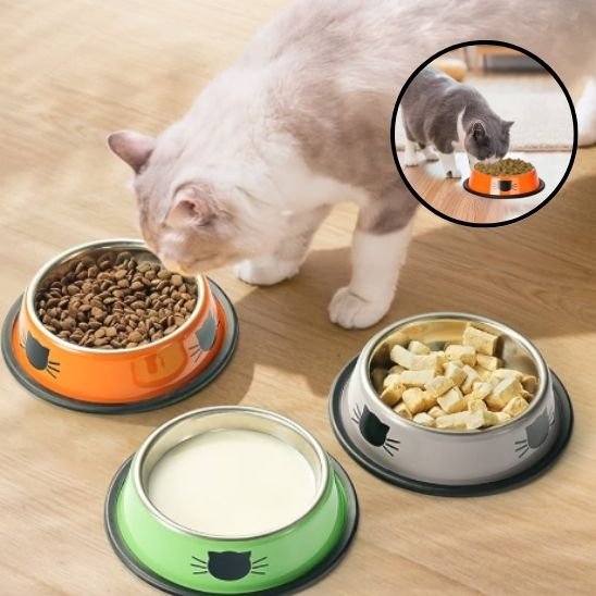 "Gamelle chat inox divers coloris 15,5 cm avec fond caoutchouc antidérapant