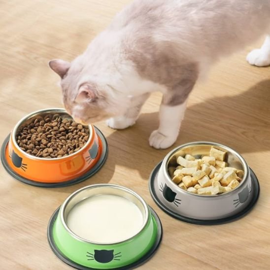 Gamelle chat inox divers coloris design moderne