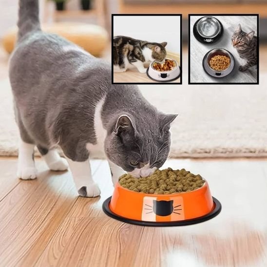 Gamelle chat  inox orange avec motif silhouette chat et base antidérapante