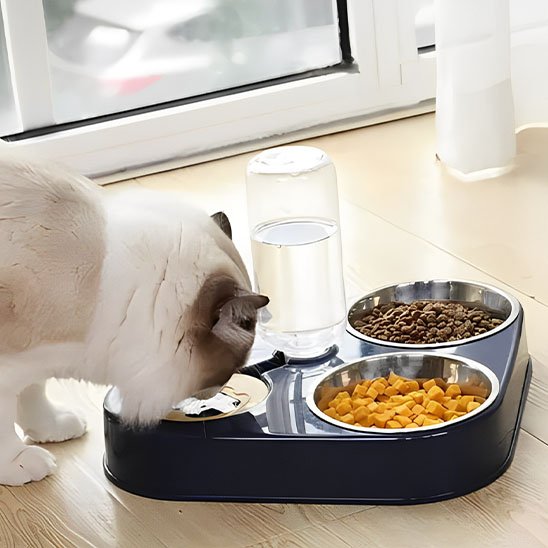 gamelle double chat bleu avec bols inox pour alimentation organisée et hygiénique