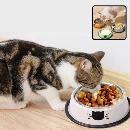 Gamelle inox chat blanche hygiénique facile à nettoyer lave-vaisselle