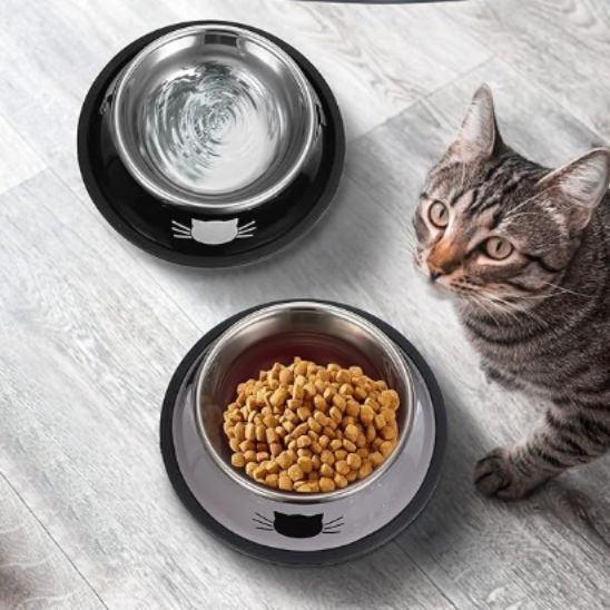 Gamelle inox chat grise design moderne avec rebord surélevé anti-renversement