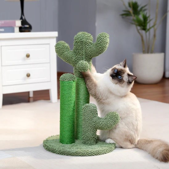 Griffoir chat plusieurs poteaux