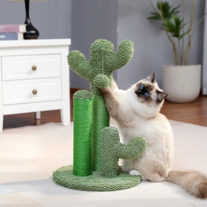 Griffoir chat plusieurs poteaux