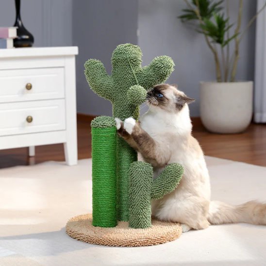 Griffoir chat poteaux forme cactus