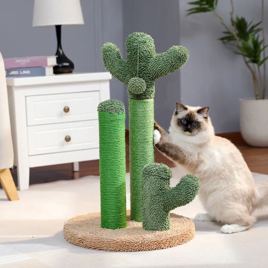 Griffoir chat robuste coloris vert