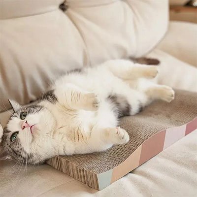 chat couché sur Griffoir en carton pour Chat incurvé