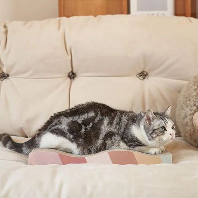 chat allongé sur Griffoir en carton pour Chat stable