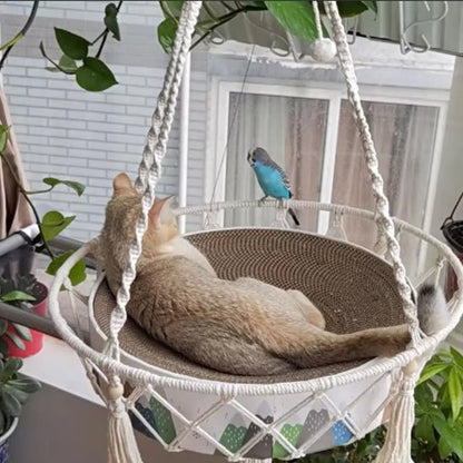 hamac-chat-exterieur