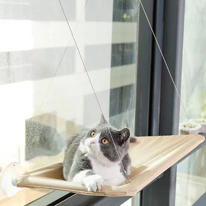 chat observe exterieur sur hamac chat fenetre