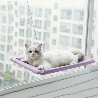 hamac chat fenetre violet avec ventouses