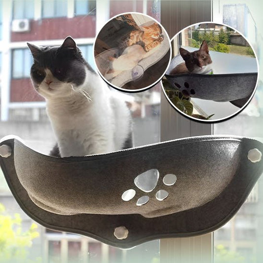 chat sur hamac chat fenetre