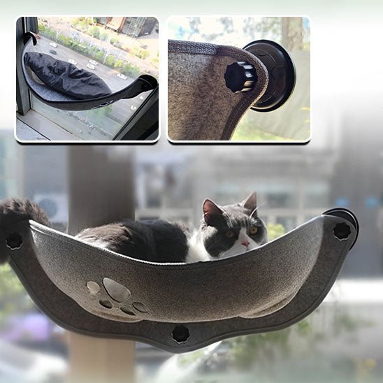 hamac chat fenetre ventouse