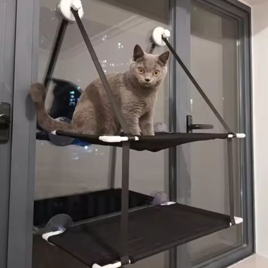 hamac chat fenetre double etage
