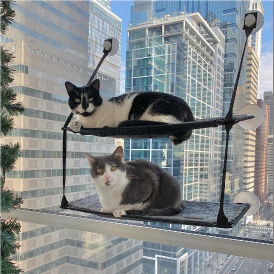 hamac chat fenetre frais respirant