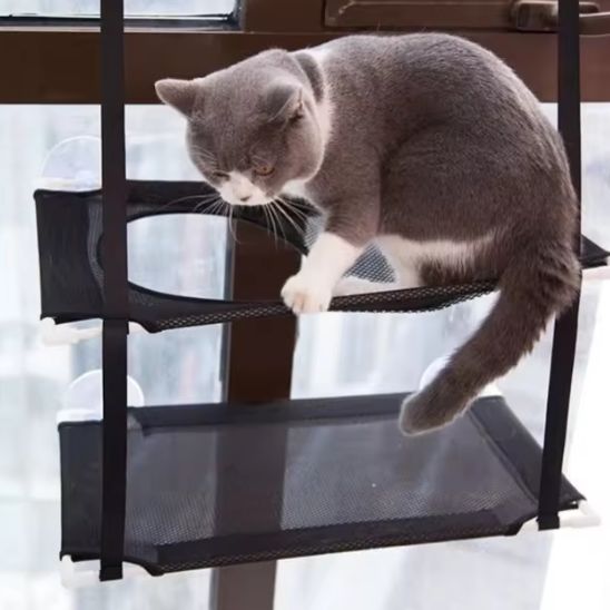 hamac chat fenetre lavable
