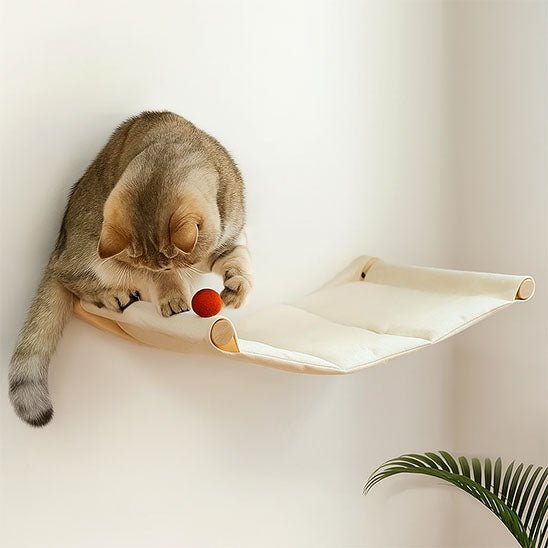 chat joue hamac chat tissu