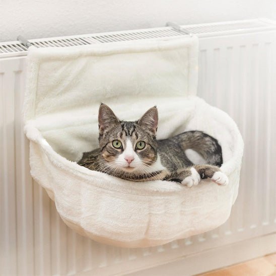 chat gris pose dans hamac chat radiateur