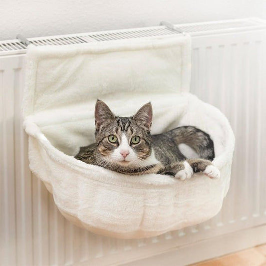 chat gris pose dans hamac chat radiateur