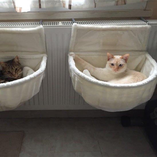 chat allonge dans deux hamac chat radiateur