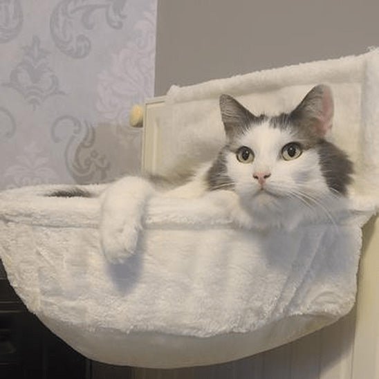 chat hamac chat radiateur blanc