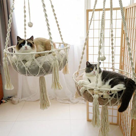 hamac chat sieste paisible