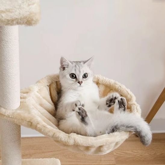 hamac pour chat suspendu beige