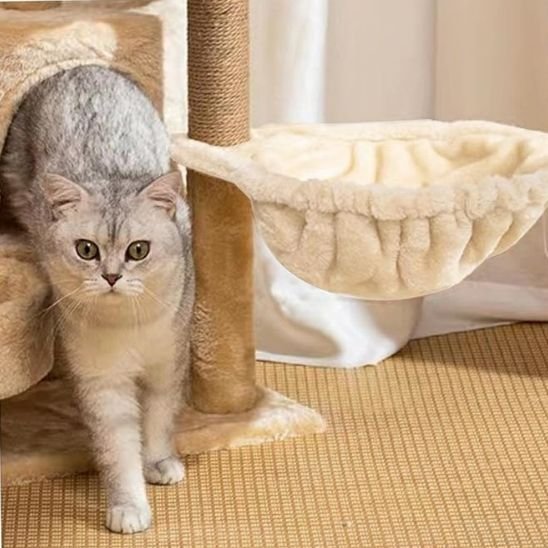 hamac pour chat accessoire beige
