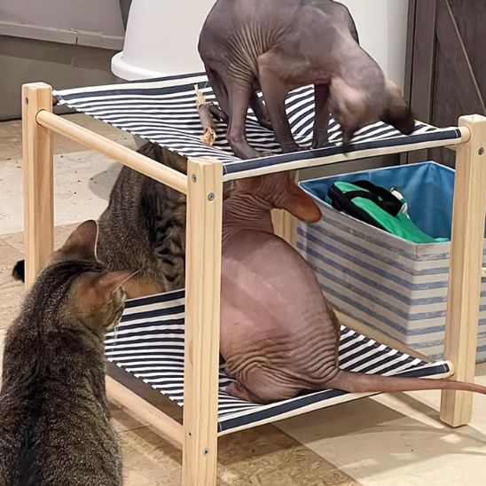 hamac pour chat entretien facile