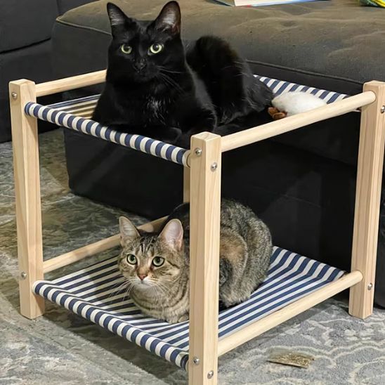 hamac pour chat pour duo