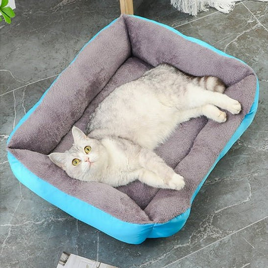 lit pour chat bleu