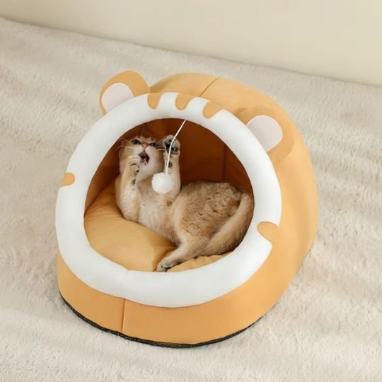 lit pour chat coussin integre