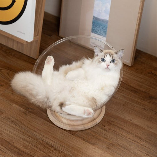 lit pour chat bol transparent