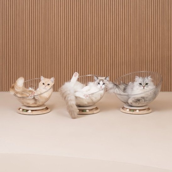 lit pour chat design soucoupe