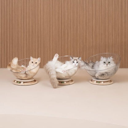 lit pour chat design soucoupe