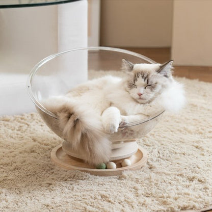 lit pour chat forme tasse
