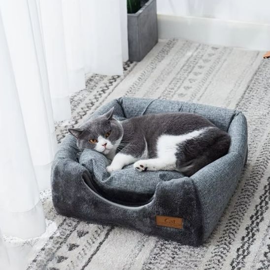niche a chat ete hiver