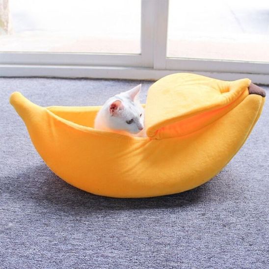 niche chat cachette