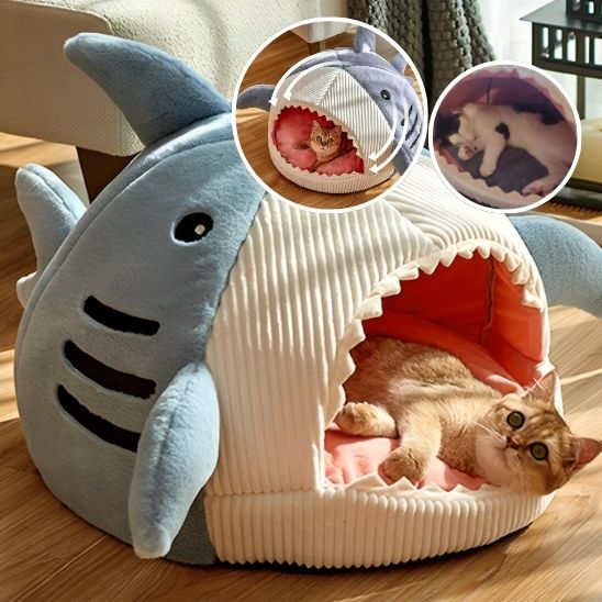 Niche chat| Cat Shark™ - Chatcharme