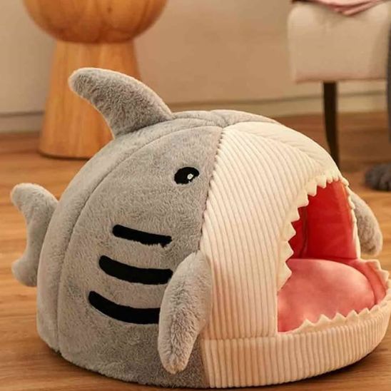 niche chat animal requin