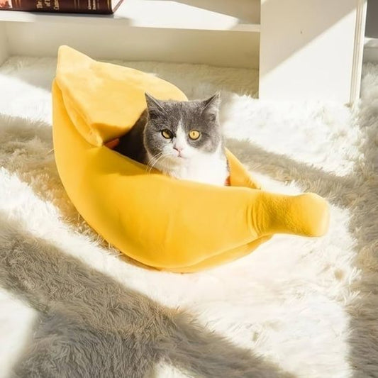 niche chat confort banane