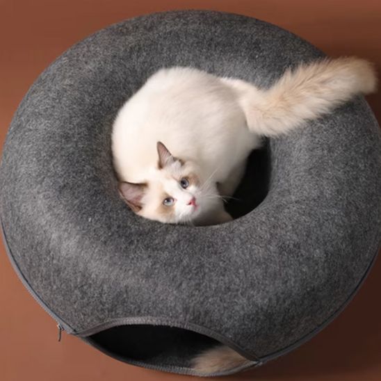niche chat fermeture eclair